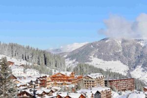 Orée des Cimes (Vallandry) forensic expertise traesch lawyer